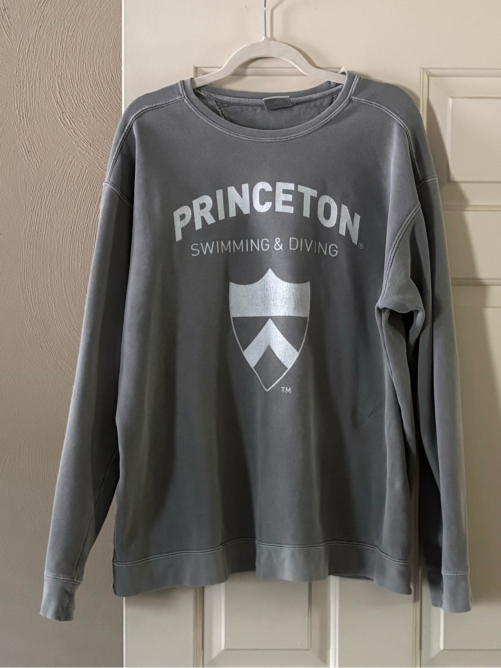 Comfort Colors Unisex Princeton Swimming & Diving Sweatshirt. Size Large.